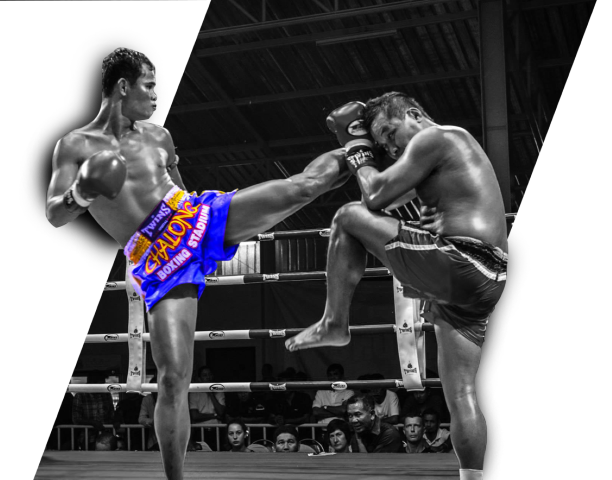 muay thai kursu bakırköy istanbul